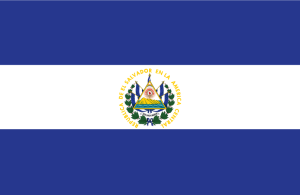 El Salvadors Chivo Wallet Offers Fuel Subsidy