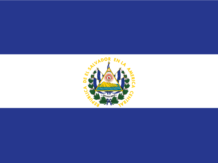 El Salvadors Chivo Wallet Offers Fuel Subsidy